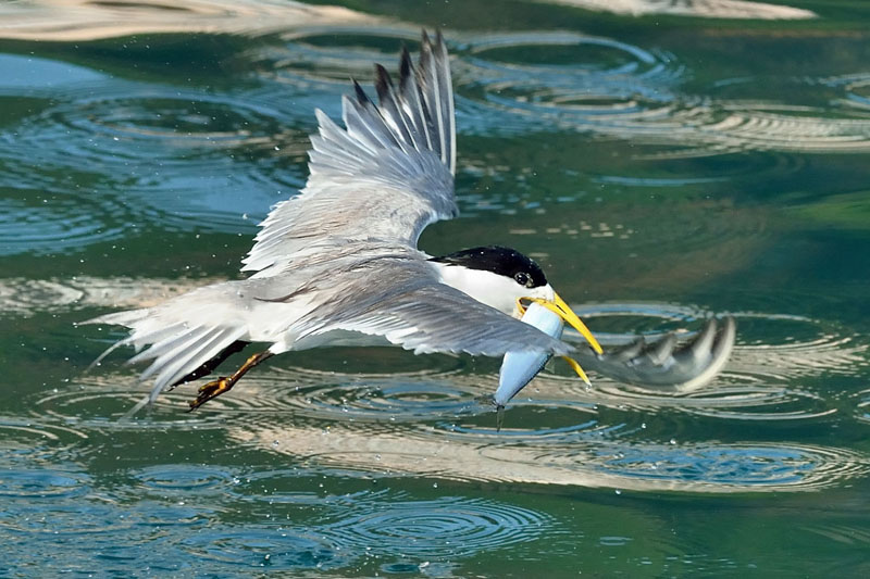 http://i.dcview.tw/gallery/201207/3027f2ab91e69c285e64625046e92712.jpg