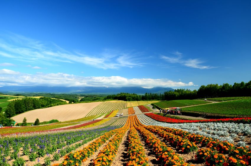 http://i.dcview.tw/gallery/201207/340d2e69690a933cd463f814f2f70a6e.jpg