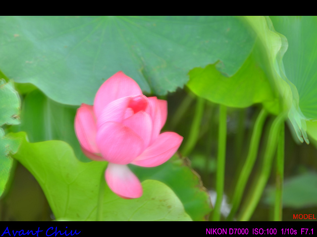 http://i.dcview.tw/gallery/201207/3bf6a8dcac898aa2d118f3d142c1939d.jpg