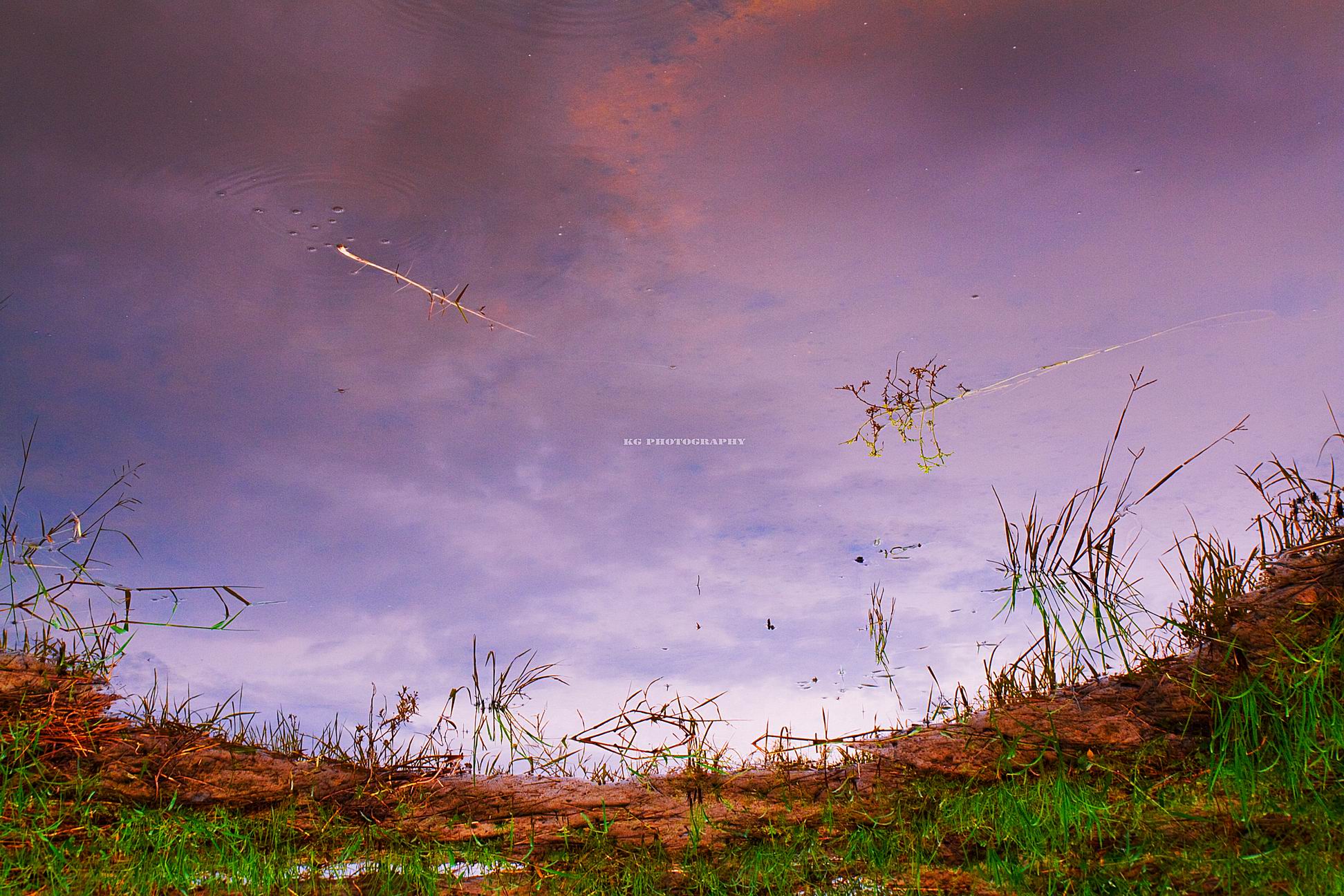 http://i.dcview.tw/gallery/201207/3ec0352ba58d7fd26cc7be80094a2458.jpg