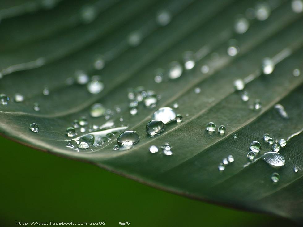 http://i.dcview.tw/gallery/201207/43d0b584992873b8392a8245ab03f753.jpg