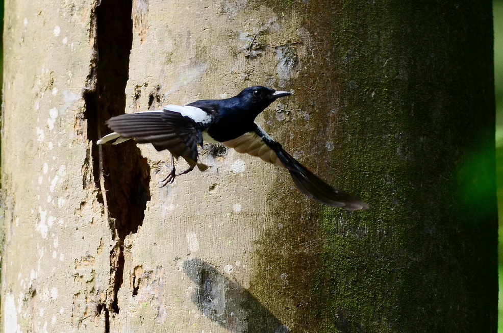 http://i.dcview.tw/gallery/201207/45099403996b8bb614584e1147871654.jpg