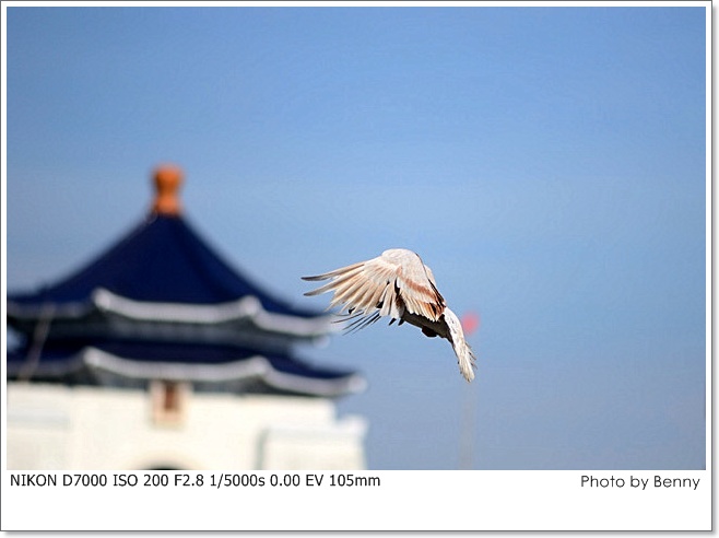 http://i.dcview.tw/gallery/201207/45621d65ea8cdac4b6fa2257ece1e6d5.jpg