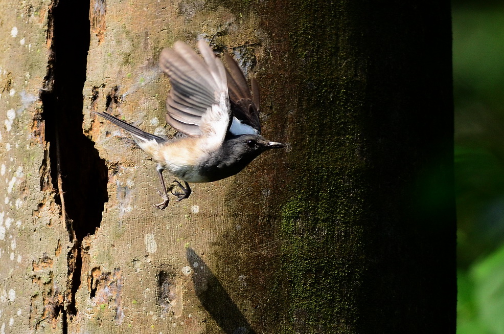 http://i.dcview.tw/gallery/201207/47a77d8a06c29f0482916f1805bbccbc.jpg