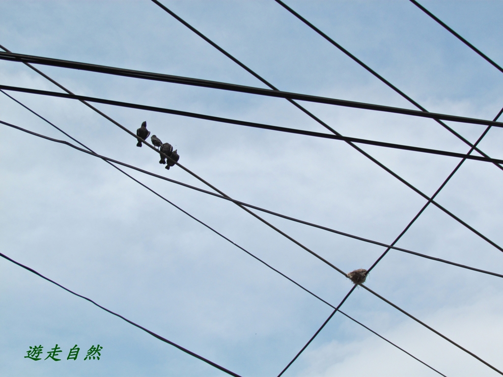 http://i.dcview.tw/gallery/201207/480ab68bb792affb67329efa13263470.jpg