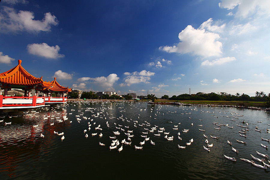 http://i.dcview.tw/gallery/201207/4dbe3a99015143163a2cf5b66ade4652.jpg