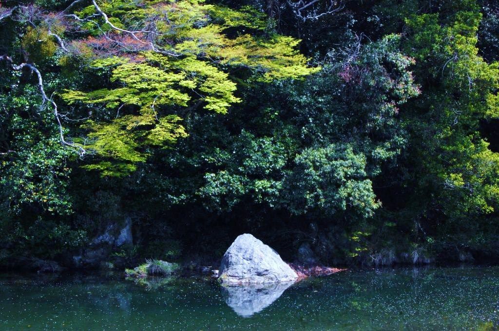 http://i.dcview.tw/gallery/201207/5052dc0afda0a191bdac3fb581f4f470.jpg