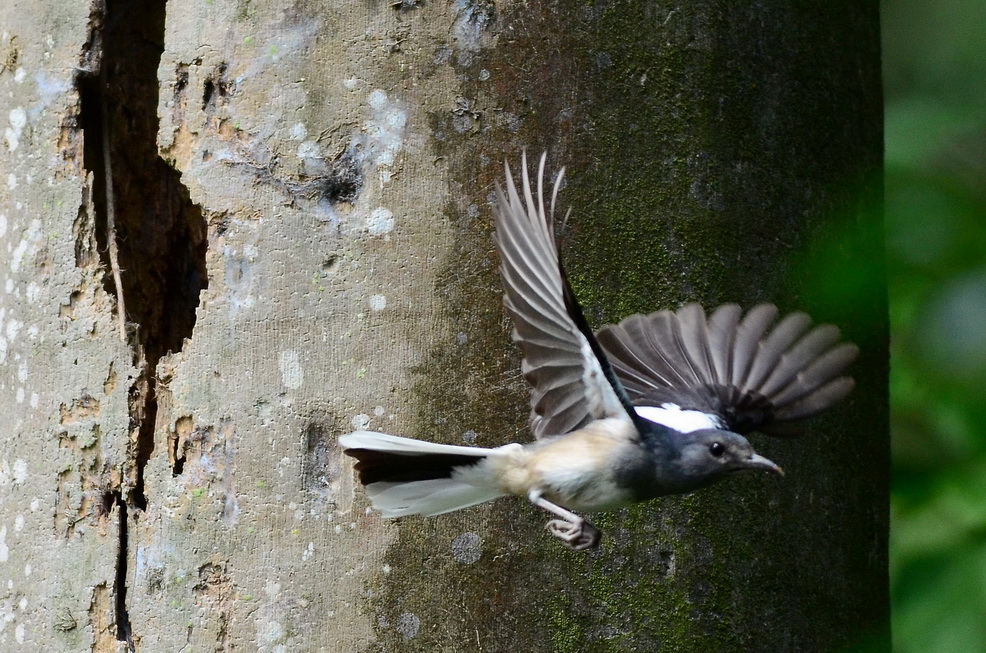 http://i.dcview.tw/gallery/201207/539d49039d0351da0c37f5f9ad88748a.jpg