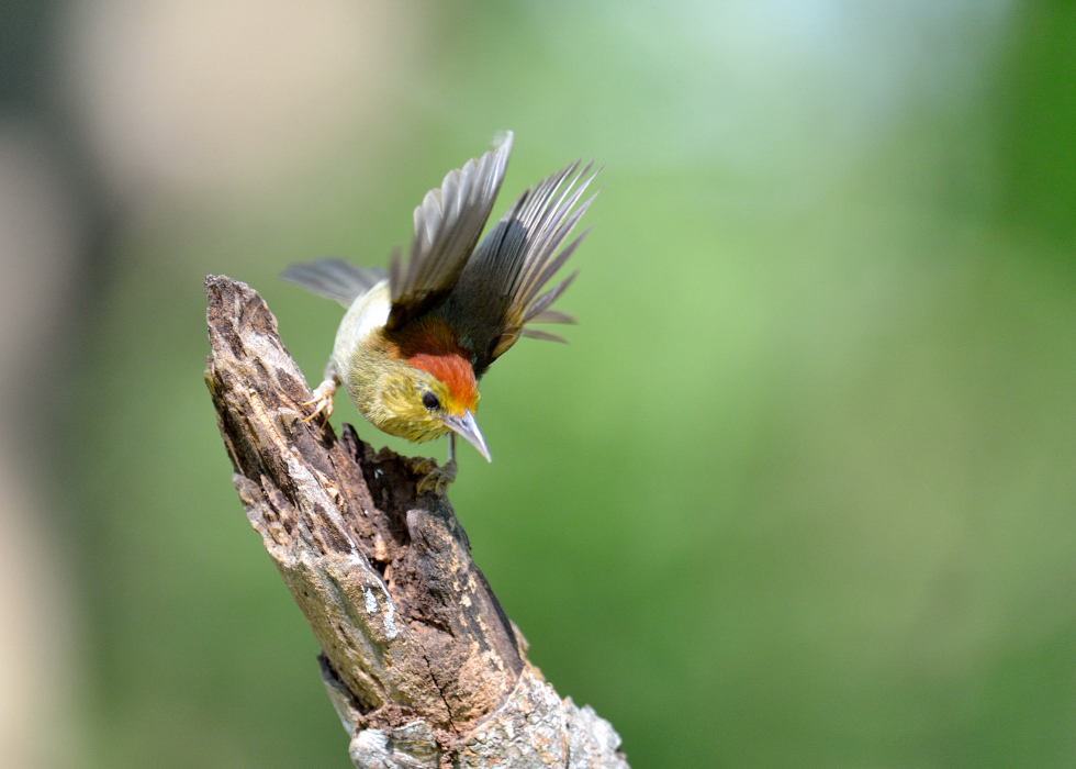 http://i.dcview.tw/gallery/201207/578e183da0c5c77b2da7cfac723e936c.jpg