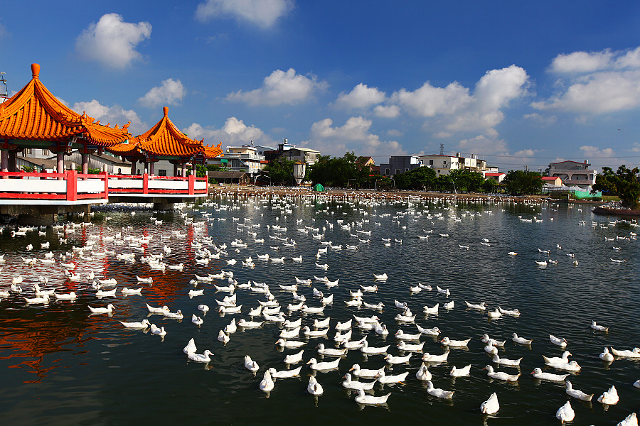http://i.dcview.tw/gallery/201207/58057666fbae094026589d8f74c4cb3e.jpg