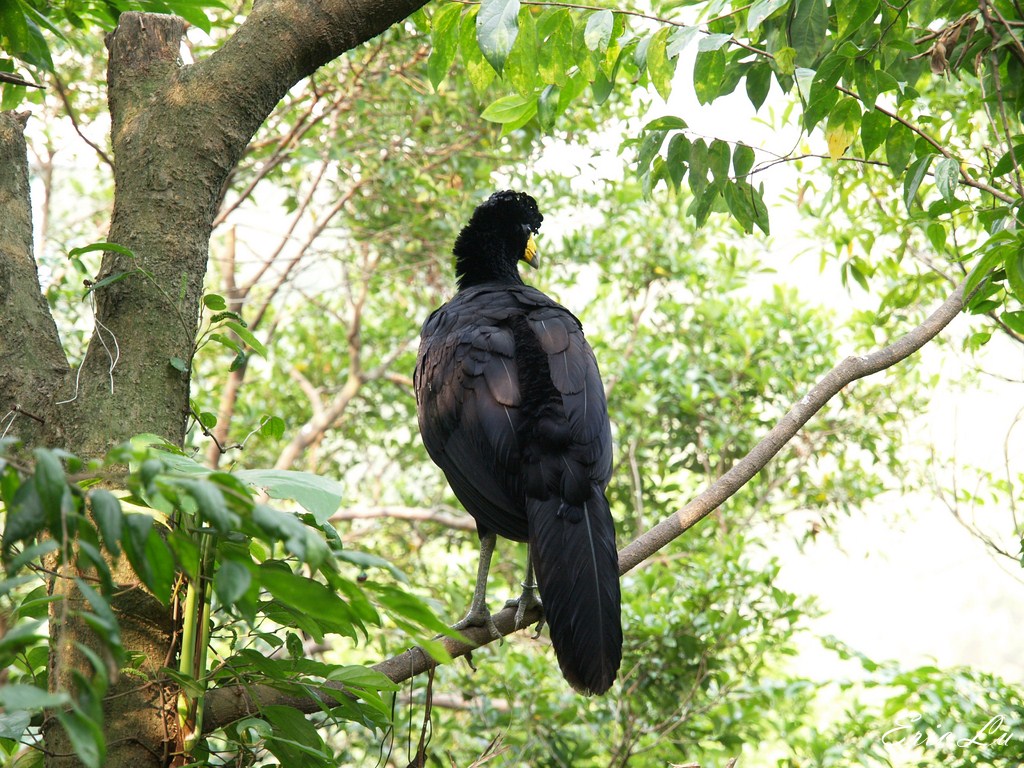 http://i.dcview.tw/gallery/201207/5a17b0d4d1a51b3c3ec3708466aeb95b.jpg
