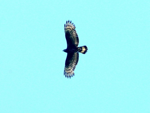 http://i.dcview.tw/gallery/201207/60ff73ad2e8517d3894957eb3136ecb7.jpg