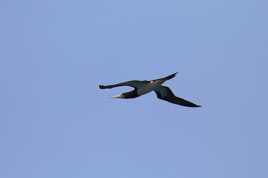 http://i.dcview.tw/gallery/201207/6c98e40ce1f6f47091d4980f426aae8d.jpg