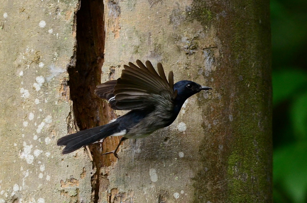 http://i.dcview.tw/gallery/201207/6e2531d7361a3f6653e2605df7c963e6.jpg