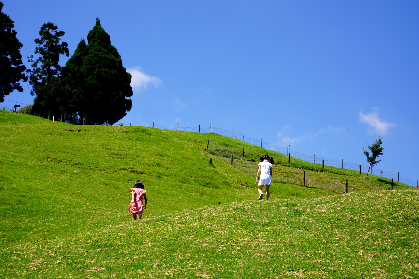 http://i.dcview.tw/gallery/201207/7015b18650ee738aac760bfb6bf5a2e1.jpg