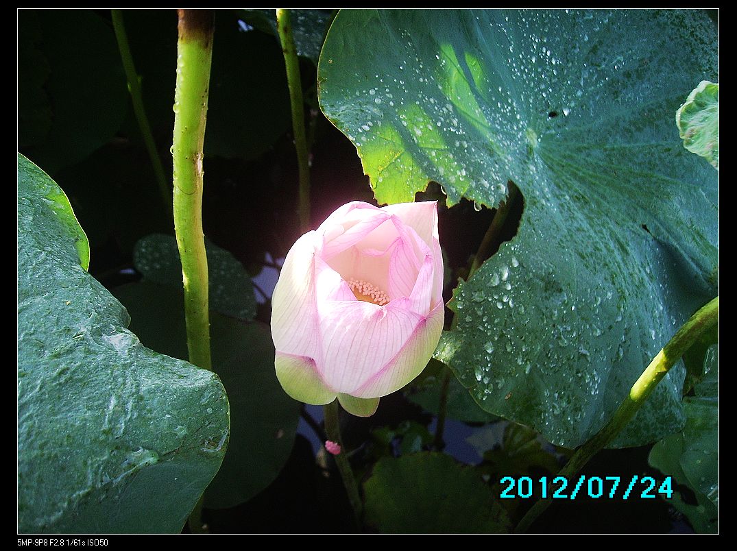 http://i.dcview.tw/gallery/201207/725380c676d45a4b056e903334bfdde6.jpg