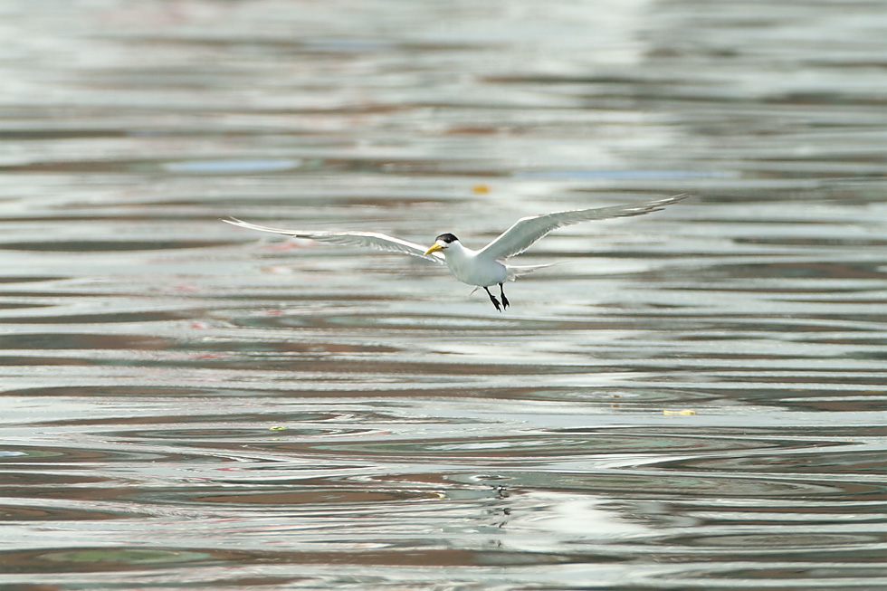 http://i.dcview.tw/gallery/201207/7405f5ff22a257b628c2b279d01aa5be.jpg