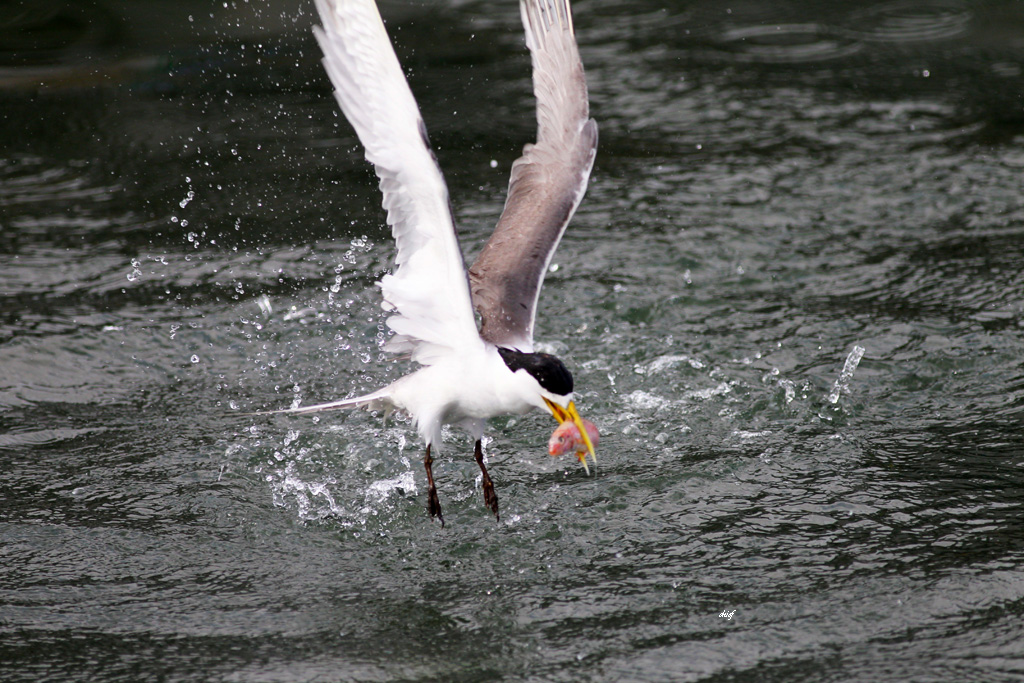 http://i.dcview.tw/gallery/201207/7611b2ec5aa7639ae56982e136533614.jpg