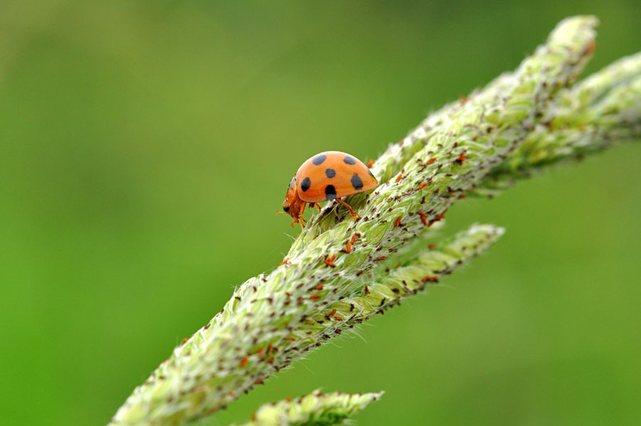 http://i.dcview.tw/gallery/201207/763ec6f7e8d3c6b605fd832a4ec20b29.jpg