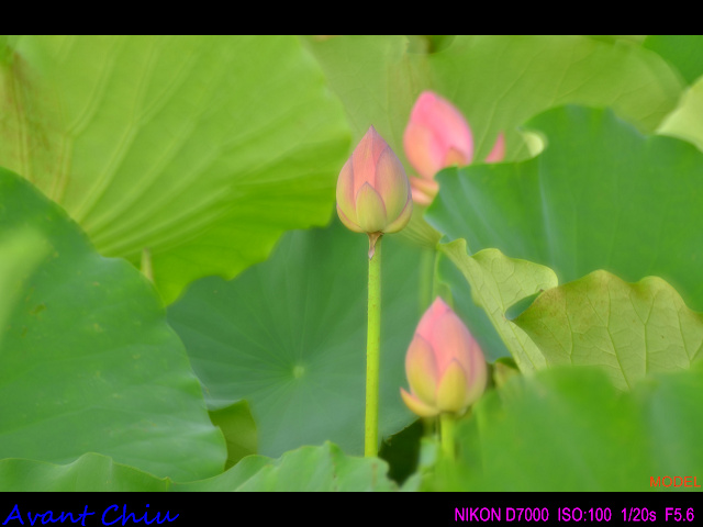 http://i.dcview.tw/gallery/201207/7efe38d16259ad8d376e873b87787839.jpg