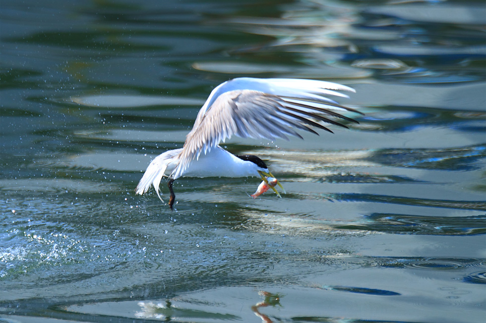 http://i.dcview.tw/gallery/201207/802f8d699840b8f24b4a9a393a699a32.jpg