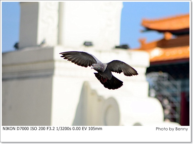 http://i.dcview.tw/gallery/201207/849ca5d5446f2311309c585ad50f9976.jpg