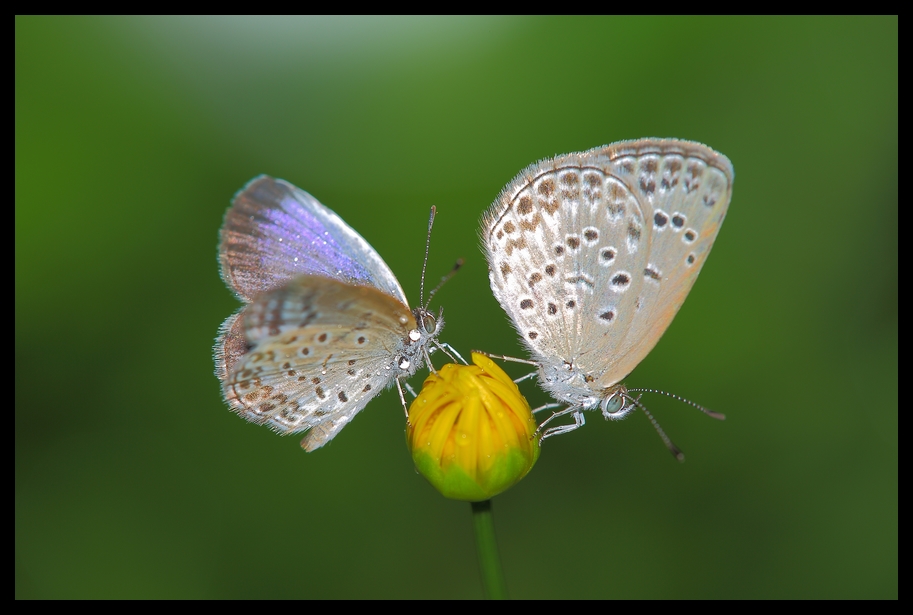 http://i.dcview.tw/gallery/201207/8eed32352174c98d82b85c0219b59395.jpg