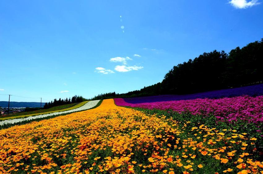 http://i.dcview.tw/gallery/201207/91b7cf6a2bac0c76189a549ddba27429.jpg