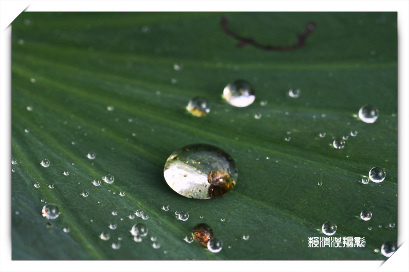 http://i.dcview.tw/gallery/201207/941743146e127a8b81f4fb58cd7a12ee.jpg