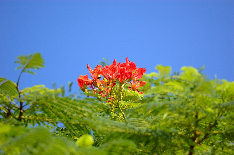 http://i.dcview.tw/gallery/201207/952bdf0e7ef466e74b5d6e21b5f5f3e1.jpg
