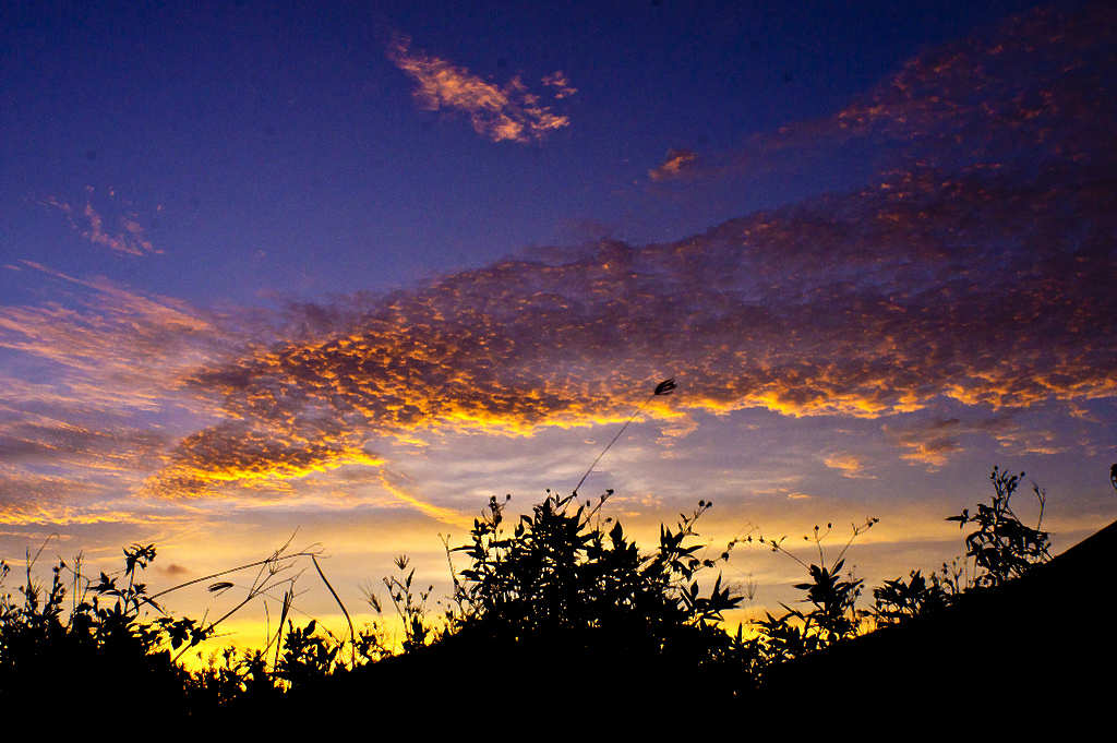 http://i.dcview.tw/gallery/201207/a3c118ef5a60f88088bef67036f5a246.jpg