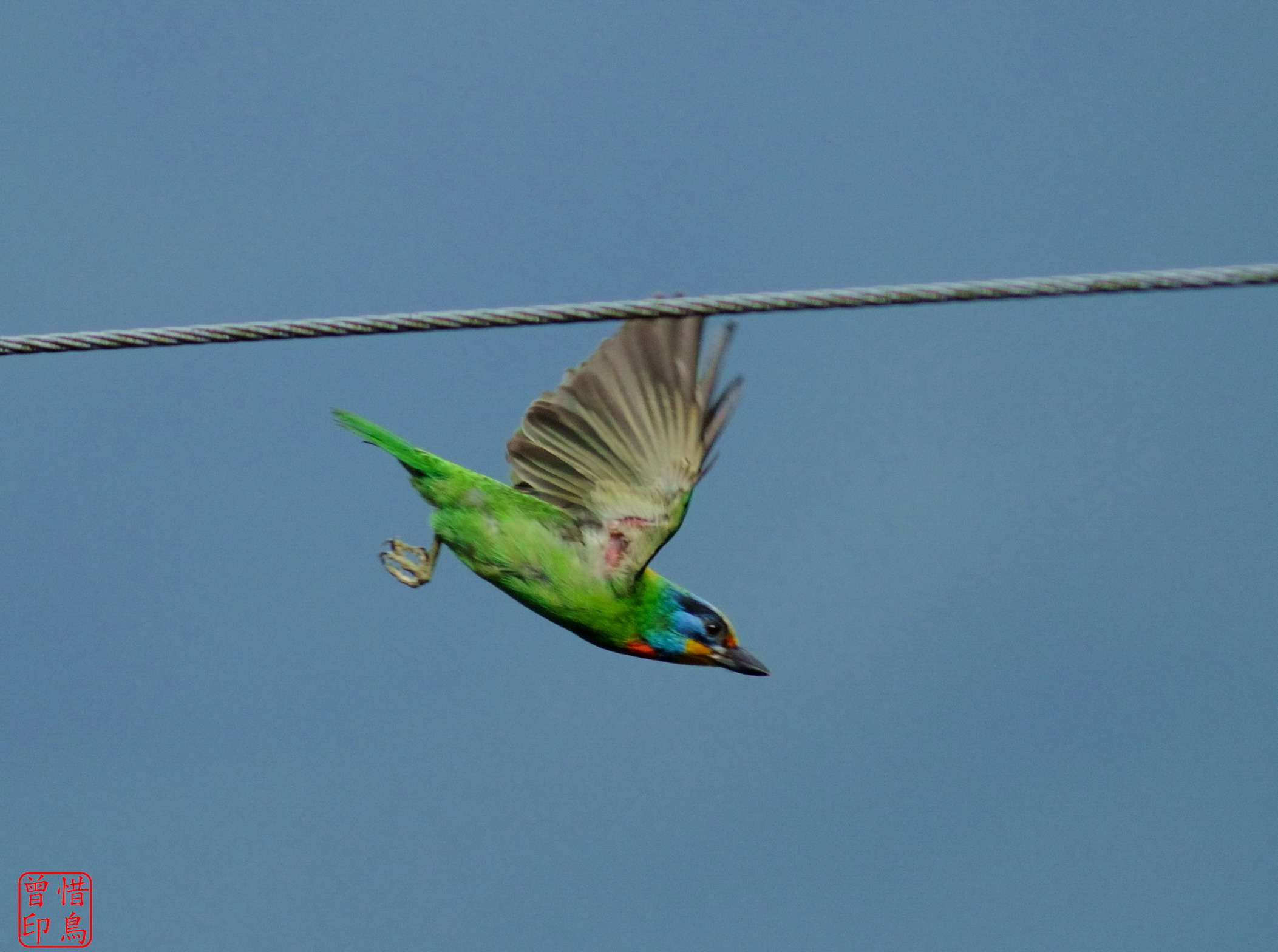 http://i.dcview.tw/gallery/201207/a42d025024cdcb2c63c34000e324de3a.jpg