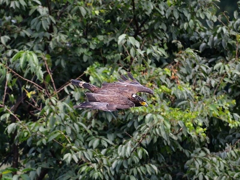 http://i.dcview.tw/gallery/201207/b041255d77192650bfee7e0f47ae62cf.jpg