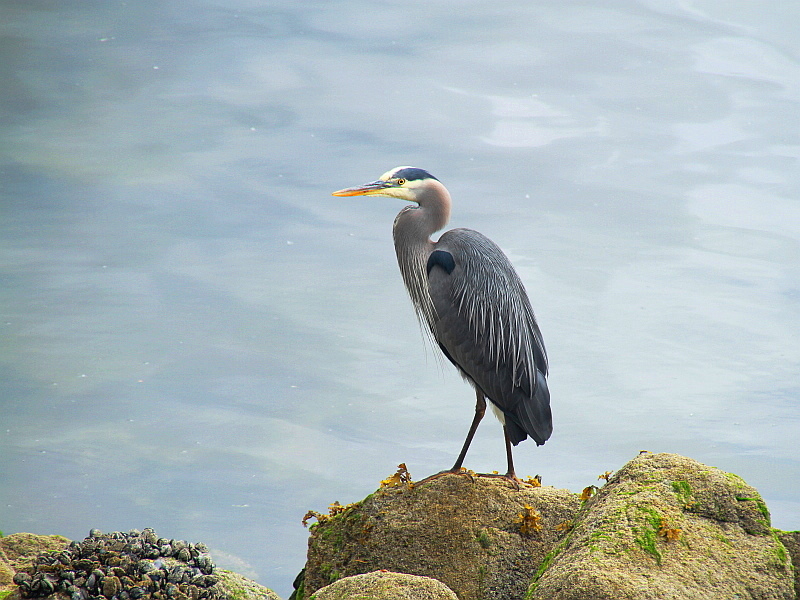 http://i.dcview.tw/gallery/201207/b0b2b5f1ec32593b9d913fbed16e3d72.jpg