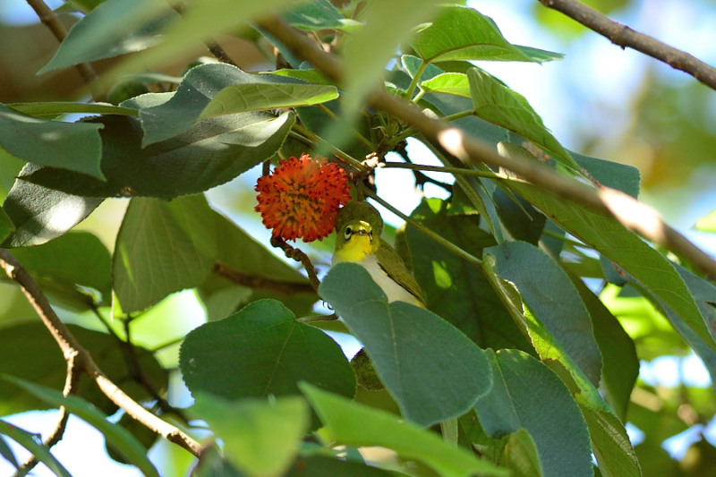 http://i.dcview.tw/gallery/201207/b1fb21b604e643d610c93824cdf574f8.jpg