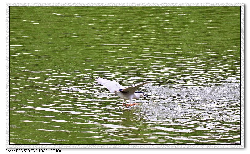 http://i.dcview.tw/gallery/201207/b2c8aa8135386dab2d95f9436e49b062.jpg