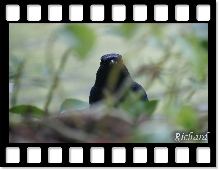 http://i.dcview.tw/gallery/201207/b61e5d621b8d705a675fd0dcdf9b84ee.jpg