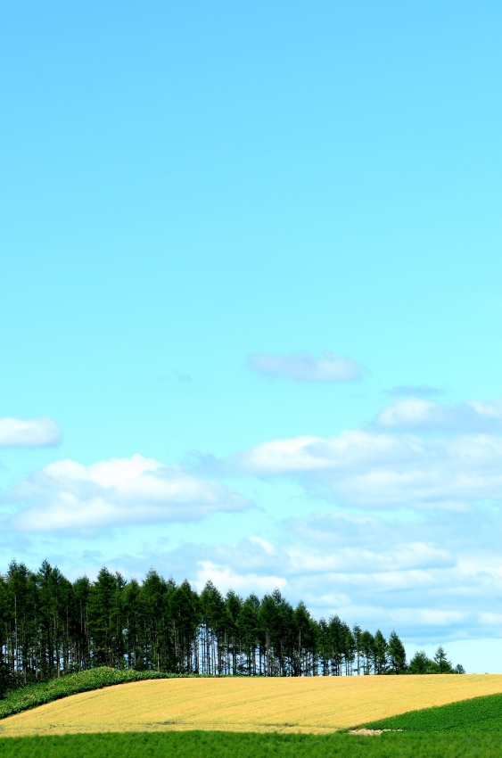 http://i.dcview.tw/gallery/201207/b85190d95f4565485b6b5b23cc57cb8d.jpg