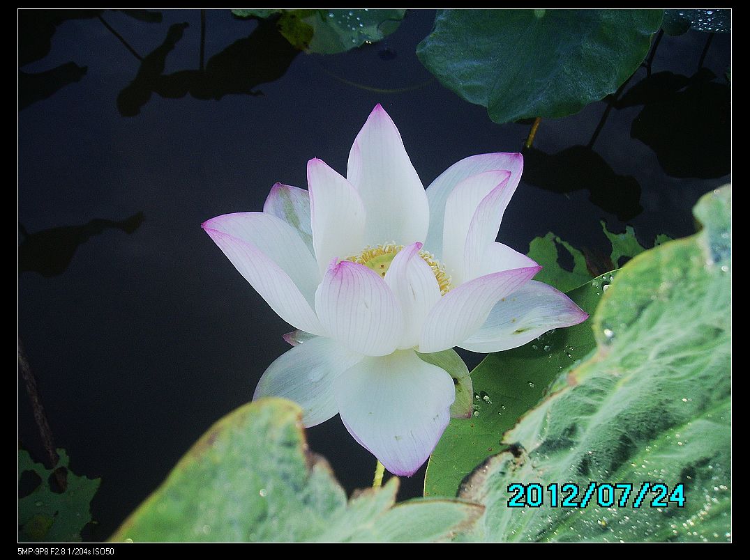 http://i.dcview.tw/gallery/201207/b90bc1c6063ad198e0b701b38dba10b0.jpg