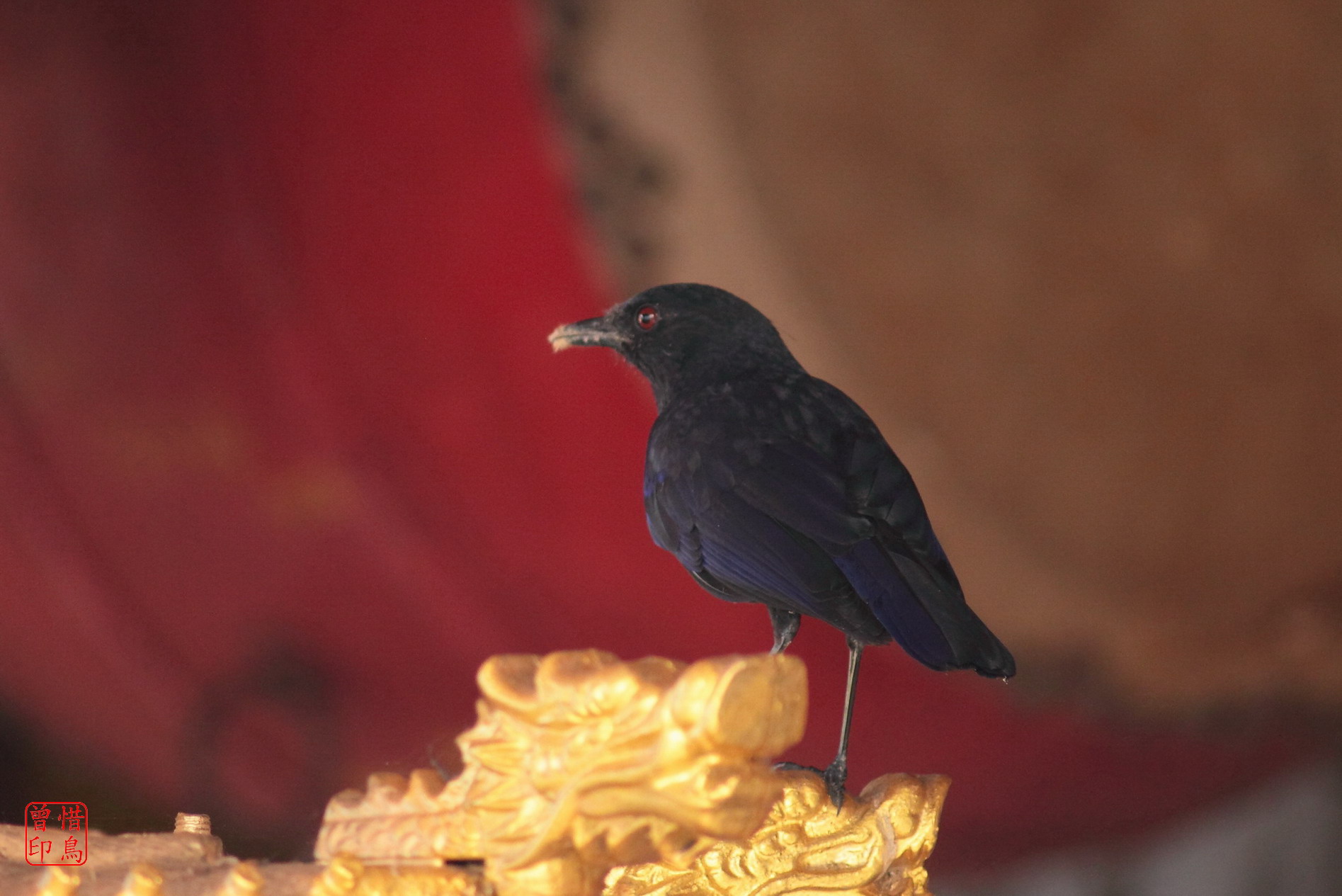 http://i.dcview.tw/gallery/201207/bbbe6fec4b3cd228eba73236545175fb.jpg