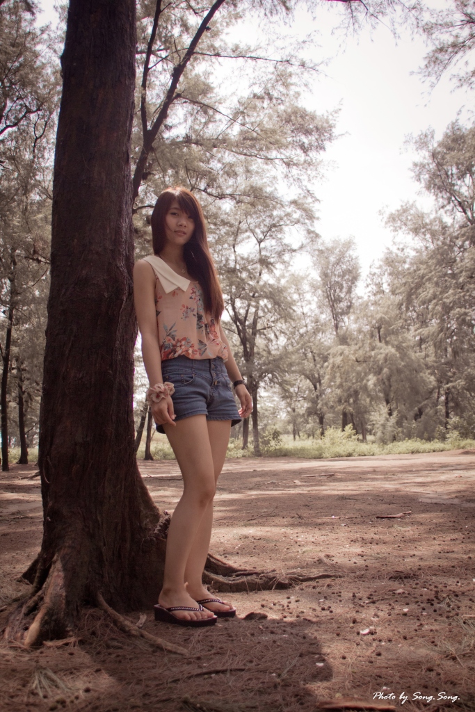 http://i.dcview.tw/gallery/201207/bcf8520bf87bd1d83d31ce738ce18c66.jpg