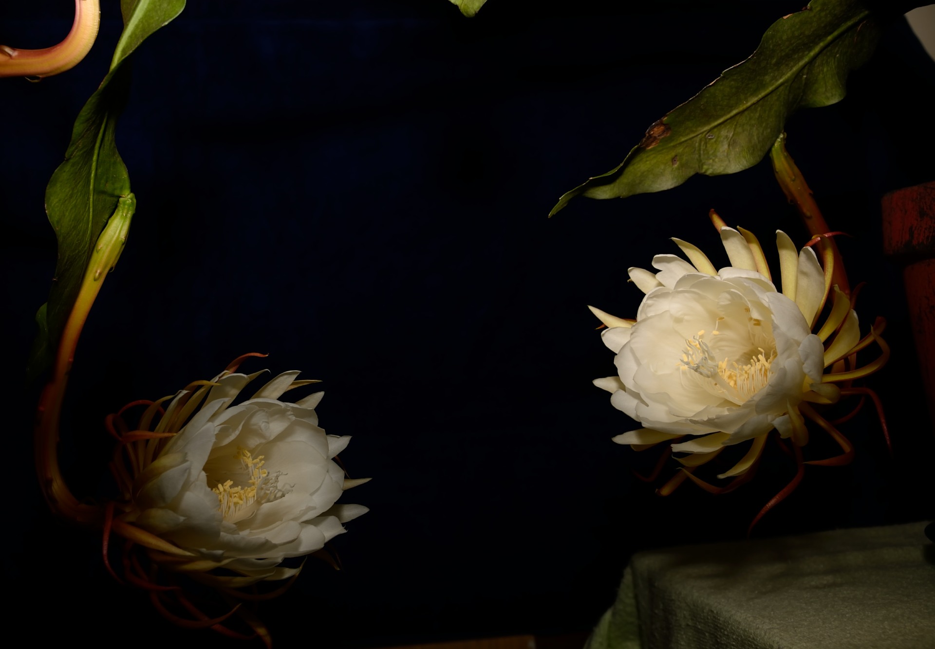 http://i.dcview.tw/gallery/201207/be1b67a8697fd50ba26b9dd93d7fd87e.jpg