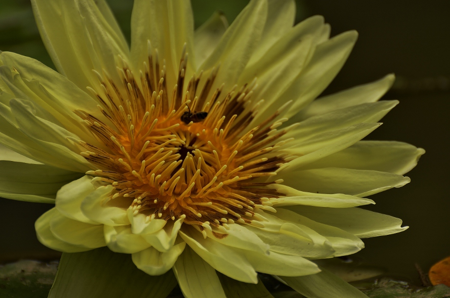 http://i.dcview.tw/gallery/201207/c7b0a55e1e33645c334186f78810d571.jpg
