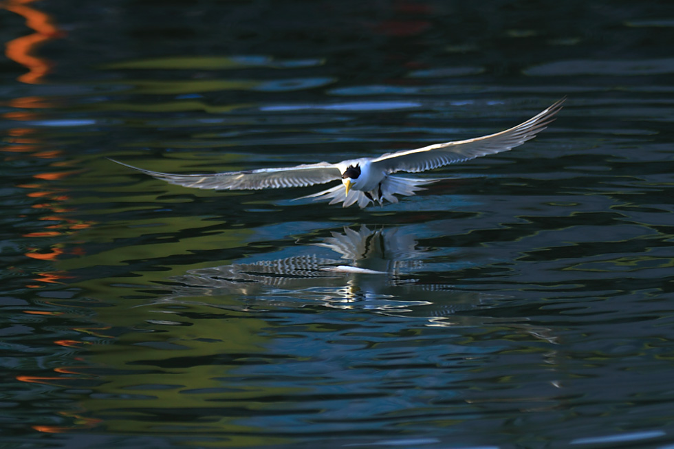http://i.dcview.tw/gallery/201207/cb3f3106877f4b68ab570dbafa29319a.jpg