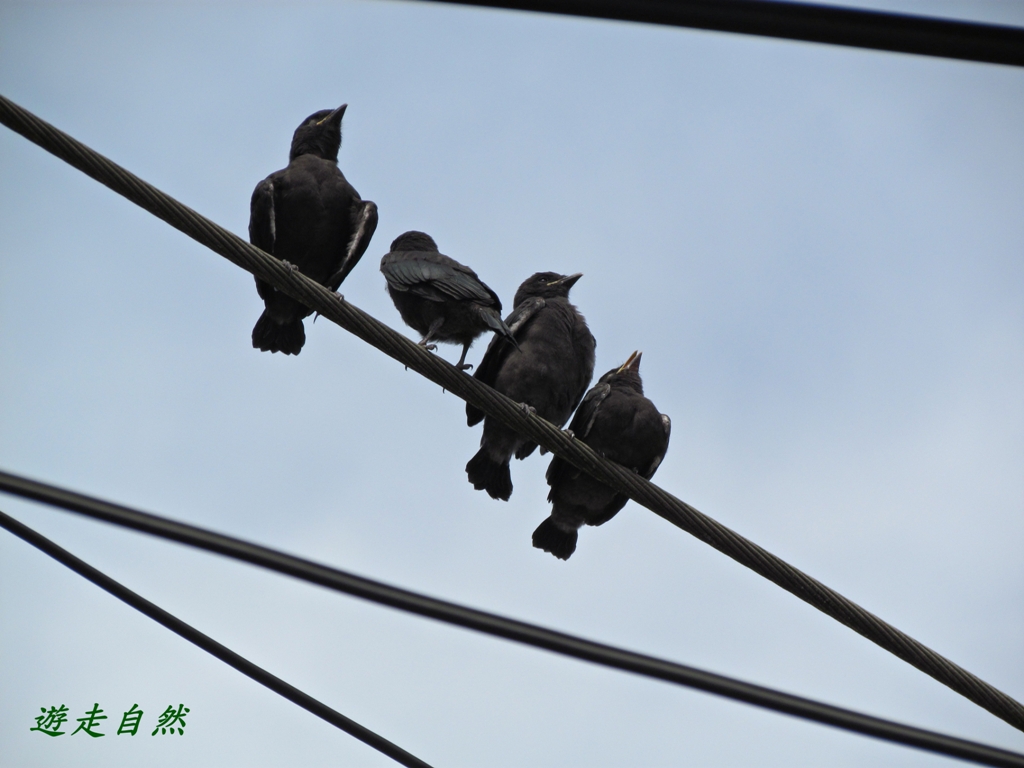 http://i.dcview.tw/gallery/201207/cb44090ac9f103af98e328746a07101c.jpg