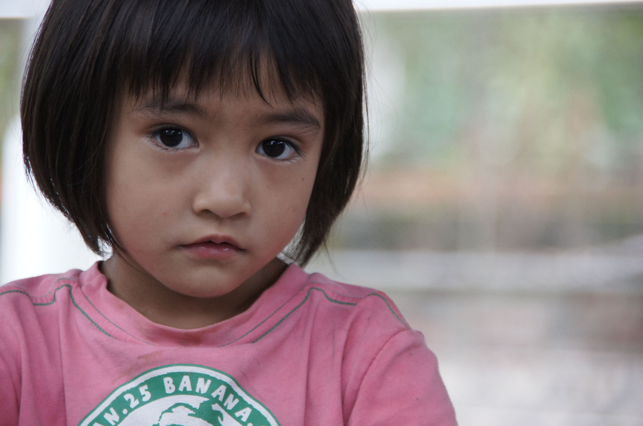 http://i.dcview.tw/gallery/201207/cc66cb40b9d48fde7c14288647c1cdc6.jpg