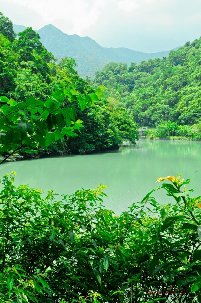 http://i.dcview.tw/gallery/201207/d20fb4053ad5883c787acc0f89667376.jpg