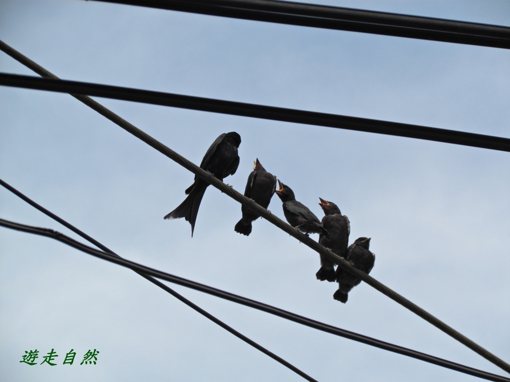 http://i.dcview.tw/gallery/201207/d2faf627c8cb4c5c63f707724a2820ad.jpg