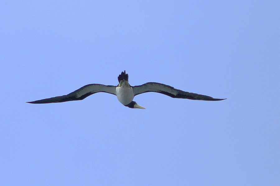 http://i.dcview.tw/gallery/201207/d464ddcf2bd87dbf541871e158b52768.jpg