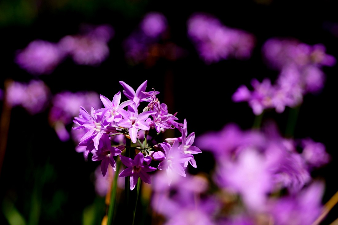 http://i.dcview.tw/gallery/201207/d594eed1c8a10a0e2ca3bff6c6f01a3c.jpg